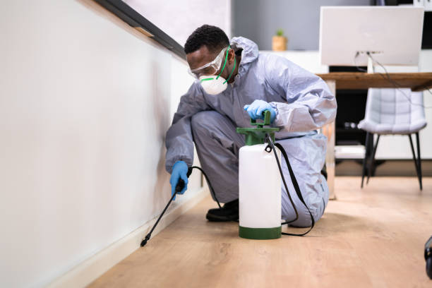 Best Real Estate Pest Inspections  in Lyndon, KS